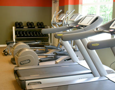 treadmills at the essex fitness center
